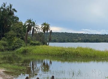 rwanda/kibungo/attraction/universal-ventures-gorilla-trekking-rwanda-wildlife-safari-rwanda-visit-rwanda