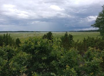 sweden/vastmanland/attraction/askoviken-tido