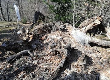 hungary/sopron-wine-region/attraction/hatarfa