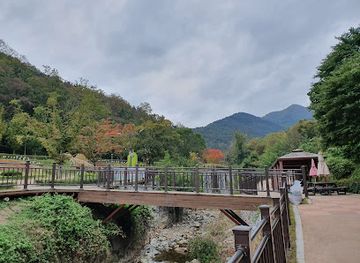 south-korea/gwandong-region/attraction/gosangol-dinosaur-park