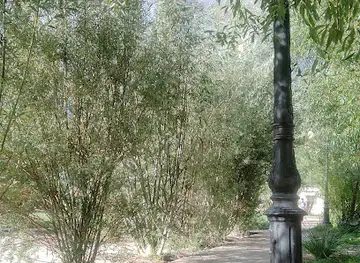 Public park