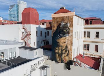 new-zealand/palmerston-north/attraction/swiftmantis-cat-mural-squishee-the-alley-cat