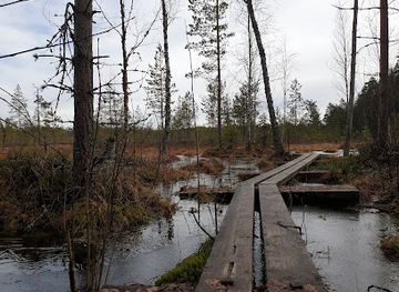 finland/paijat-hame/attraction/kairessuo-mieliaissuo