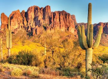 arizona/saguaro-national-park/attraction/rio-vista-natural-resource-park