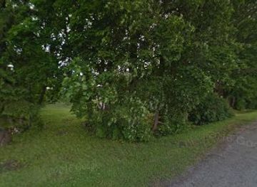 estonia/paide/attraction/hermani-mois