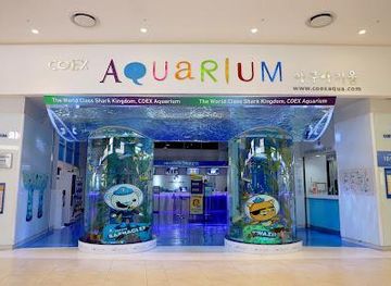 south-korea/incheon/attraction/coex-aquarium