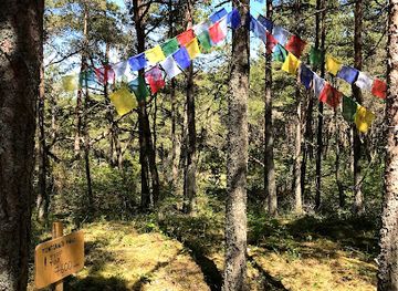 estonia/saare-county/attraction/tontjaagumagi