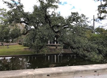 louisiana/bayou-lafourche/attraction/bayou-terrebonne-waterlife-museum