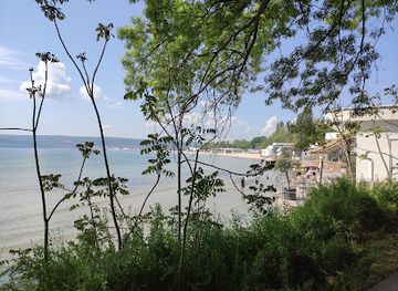 bulgaria/varna-region/attraction/crooked-tree-varna