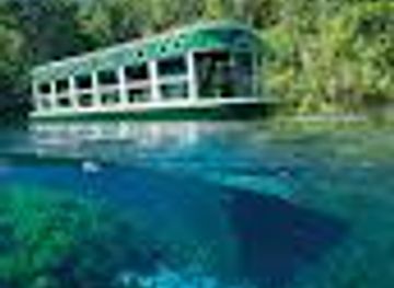 florida/ocala/attraction/silver-springs-state-park-glass-bottom-boat-tours