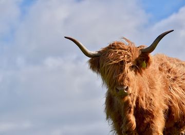 united-kingdom/roxburghshire/attraction/jacksons-at-jedburgh