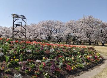 japan/kanazawa/attraction/botanic-gardens-of-toyama