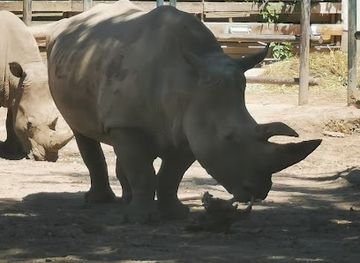 hungary/nyiregyhaza/attraction/india-haz