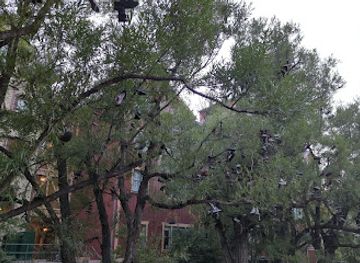 utah/deer-valley/attraction/shoe-tree-park