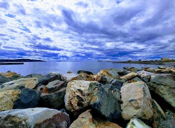 canada/avalon-peninsula/attraction/discovery-sea-adventure-tours