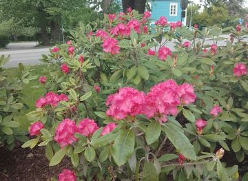 finland/porvoo/attraction/viborgin-aukio