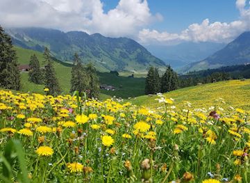 switzerland/solothurn/attraction/eulenpfad-wirzweli