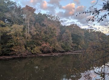 alabama/decatur/attraction/wheeler-nwr-dancy-bottoms-nature-trail