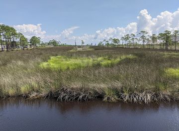 alabama/cotton-bayou/attraction/wade-ward-nature-park