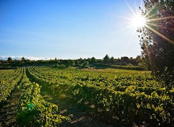 croatia/trogir/attraction/ante-sladic-vino