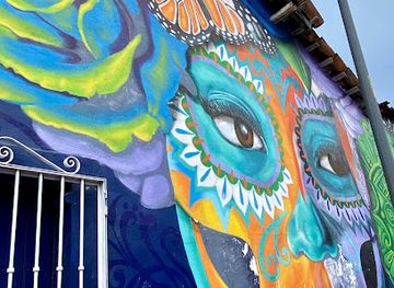 mexico/puerto-vallarta/attraction/lady-death-mural