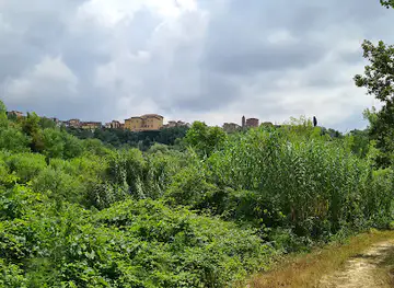 Truffle in Tuscany