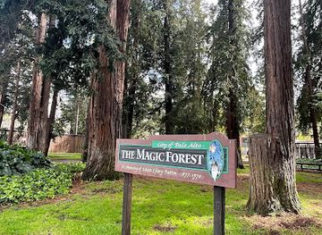 california/palo-alto/attraction/the-magic-forest