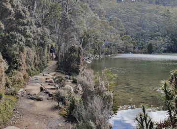 australia/tasmania/attraction/mount-field-national-park