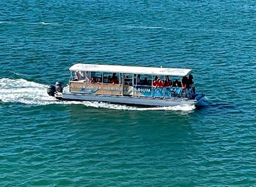 florida/clearwater-beach/attraction/sea-life-safari-nature-cruise