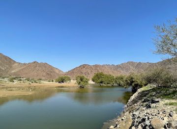 united-arab-emirates/hajar-mountains/attraction/wadi-al-hilo