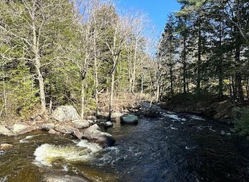 vermont/molly-falls-state-park/attraction/ricker-pond-s-lookout