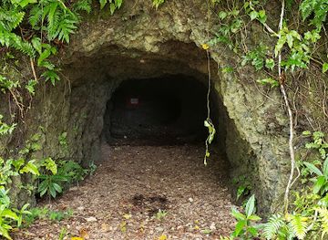 palau/ngemelis/attraction/1-000-man-cave