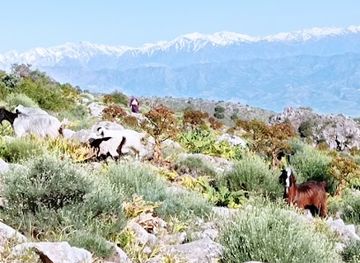 uzbekistan/kashkadarya-region/attraction/kamen-zhelaniya