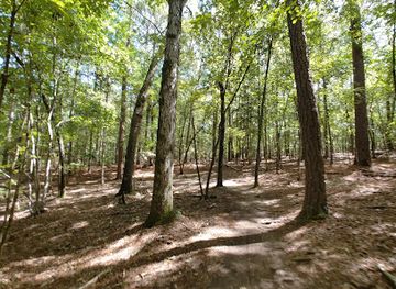 south-carolina/midlands/attraction/harbison-state-forest