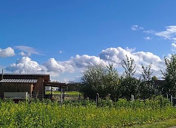 austria/muhlviertel/attraction/museum-cowboy-museum-fatsy