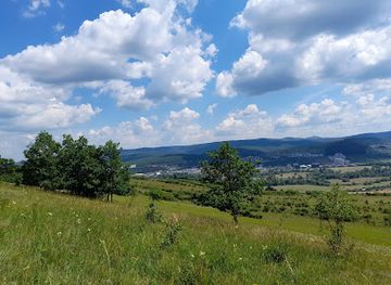 romania/cluj-napoca/attraction/poiana-rotunda