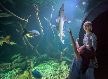 croatia/zagreb/attraction/aquatika