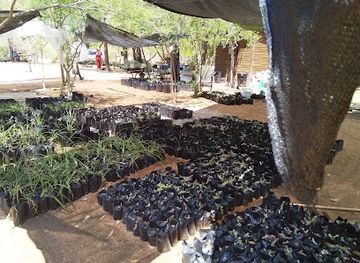 botswana/molepolole/attraction/mokolodi-indigenous-nurseries