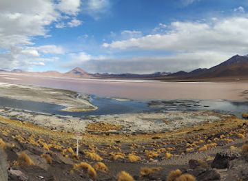 bolivia/potosi/attraction/laguna-colorada