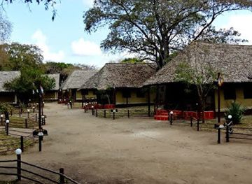 tanzania/selous-game-reserve/attraction/selous-mbuyu-safari-camp