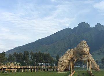 rwanda/gishwati-mukura-national-park/attraction/the-bucket-list-africa