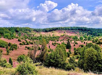 germany/lüneburg-heath/attraction/totengrund