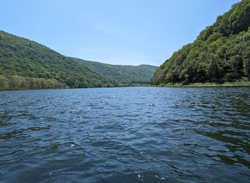pennsylvania/bald-eagle-state-park/attraction/bucktail-state-park-natural-area