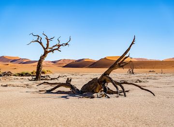 namibia/namib-desert/attraction/big-daddy-dune