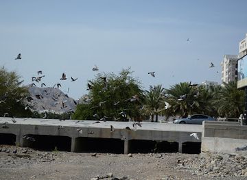 oman/muscat/ruwi/attraction/wadi-view-point
