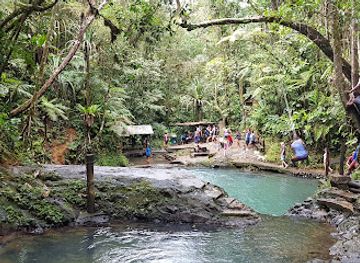 fiji/lau-islands/attraction/colo-i-suva-forest-park