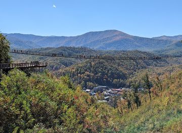 tennessee/great-smoky-mountains-national-park/attraction/the-tulip-tower