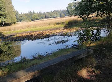 netherlands/hoge-veluwe-national-park/attraction/ingang-otterlo-nationaal-park-de-hoge-veluwe