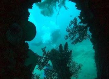 aruba/savaneta/attraction/s-e-aruba-fly-n-dive