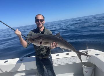 alabama/dauphin-island/attraction/d-i-reef-monster